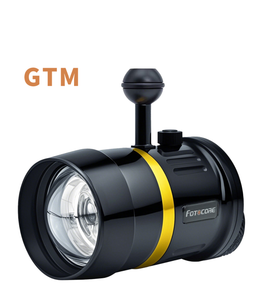 Fotocore GTM Strobe
